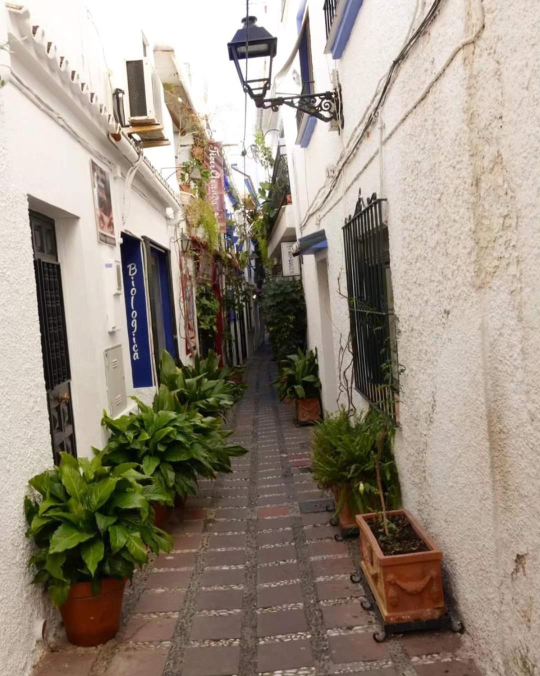 Casa La Tapita * Marbella